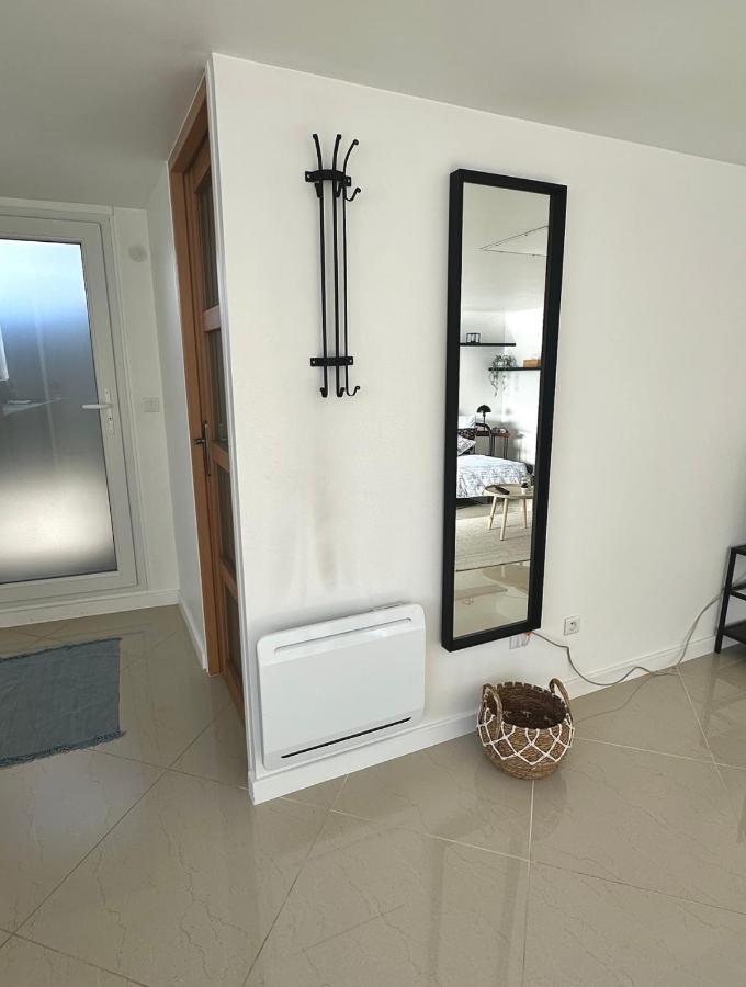 Апартаменты Petite Maison Studio Tout Confort Cosy Givors Autoroute Et Gare Экстерьер фото